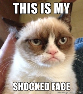 grumpy cat making ironic shocked face